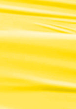 Load image into Gallery viewer, L2502 – Golden Sunshine Nail Polish – 15ml | High Gloss, Gel Like Finish Yellow Nail Polish | Bright Yellow Nail Lacquer