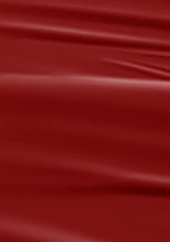 تحميل الصورة إلى عارض المعرض، طلاء أظافر مخملي بورجوندي L 2591 15 مل