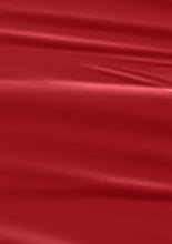 Load image into Gallery viewer, L 2639 – Cherry Red Nail Polish – 15ml | High Gloss, Gel Like Finish Classic Red Nail Polish | Bold Bright Red Nail Lacquer