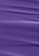 Load image into Gallery viewer, L 2807 – Purple Monarch Nail Polish – 15ml | High Gloss, Gel Like Finish Royal Purple Nail Polish | Deep Purple Nail Lacquer