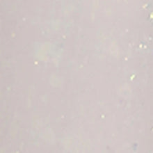 تحميل الصورة إلى عارض المعرض، N-3056- طلاء جل لامع عاجي 15 مل