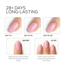 تحميل الصورة إلى عارض المعرض، برايمر جل خالي من الأحماض 15 مل