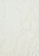 تحميل الصورة إلى عارض المعرض، بودرة كروم فيلفيت هورايزون 0.5 جرام