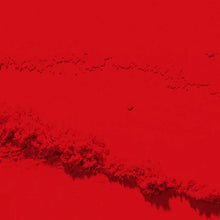 Load image into Gallery viewer, D 2511 Scarlet Flame Nail Dipping Powder 28gm
