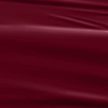Load image into Gallery viewer, N2520 – Enigma Plum Gel Polish – 15ml | Long-Lasting, High-Glossy Plum Intense Red Nail Polish Gel
