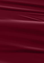Load image into Gallery viewer, N-2520-Enigma Plum Gel Polish 15ml
