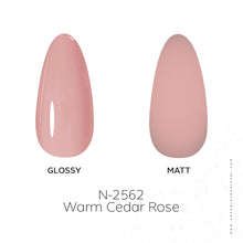 Load image into Gallery viewer, N2562 – Warm Cedar Rose Gel Polish – 15ml | Long-Lasting, High-Gloss Warm Rose Pink Nail Polish Gel
