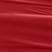 Load image into Gallery viewer, N2639 – Cherry Red Gel Polish – 15 ml | Long-Lasting, High-Gloss Classic Red Nail Polish Gel
