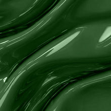 تحميل الصورة إلى عارض المعرض، طلاء جل N-2696-Emerald Forest 15 مل