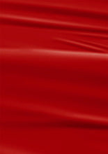 Load image into Gallery viewer, N-2855-Brick Red Gel Polish 15ml

