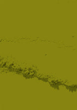 Load image into Gallery viewer, D 2894 Deep Olive Nail Dipping Powder 28gm
