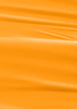 Load image into Gallery viewer, N-2897-Bright Orange Gel Polish 15ml

